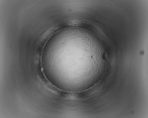 X0000110980652200906191405