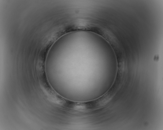 X0000110980653200906191405