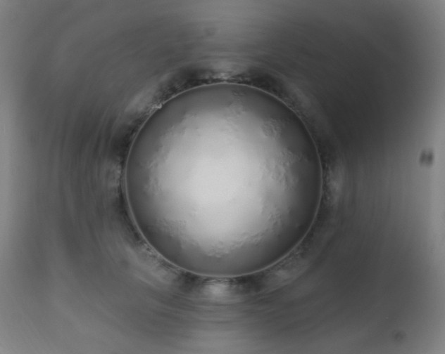 X0000110980657200906191405