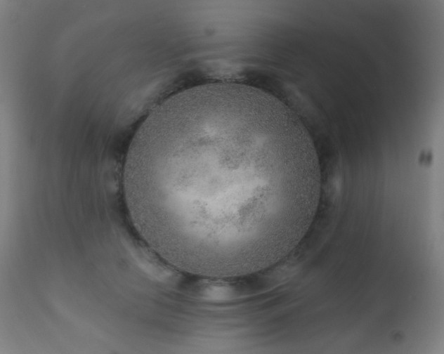 X0000110980658200906191405