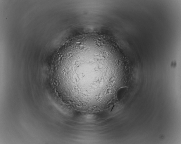 X0000110980659200906191405