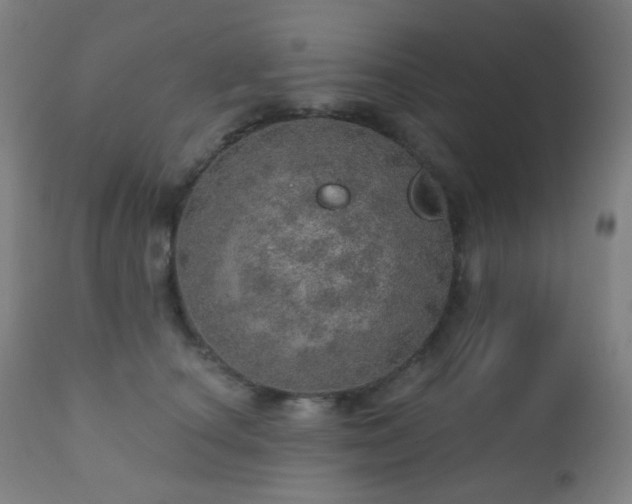 X0000110980660200906191405