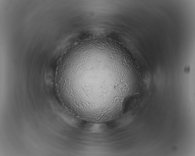 X0000110980663200906191405