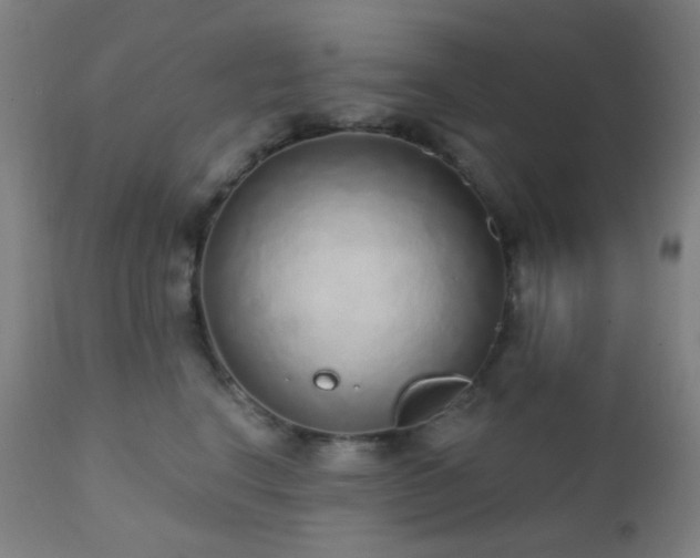 X0000110980664200906191405