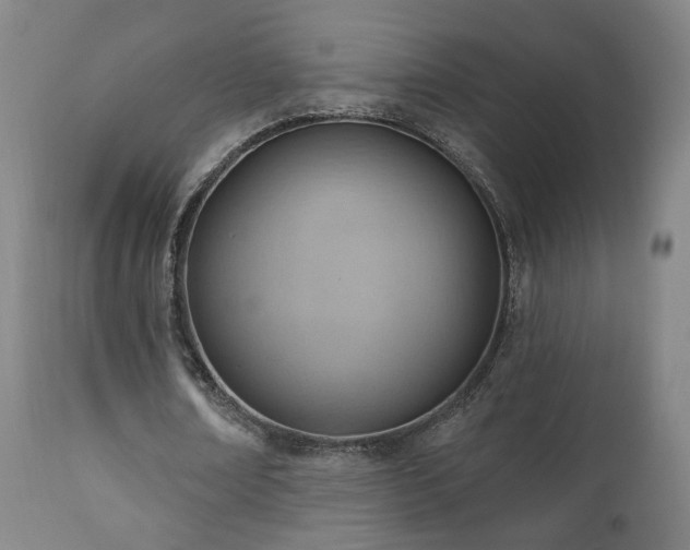 X0000110980674200906191404