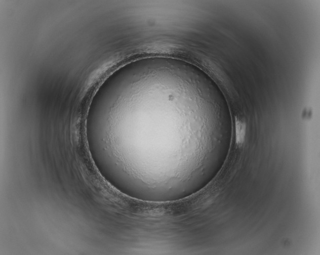 X0000110980675200906191404