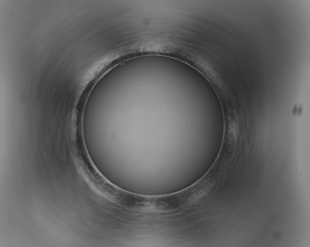 X0000110980678200906191404