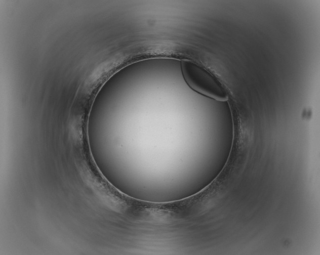 X0000110980681200906191404