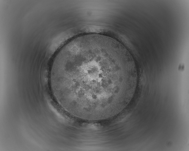 X0000110980683200906191404