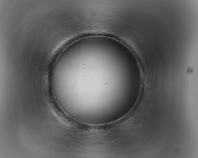 X0000110980684200906191404