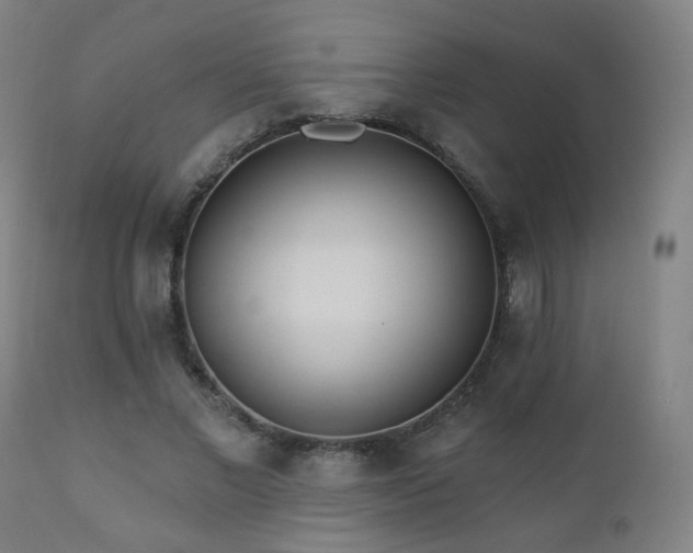 X0000110980685200906191404