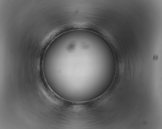 X0000110980686200906191404