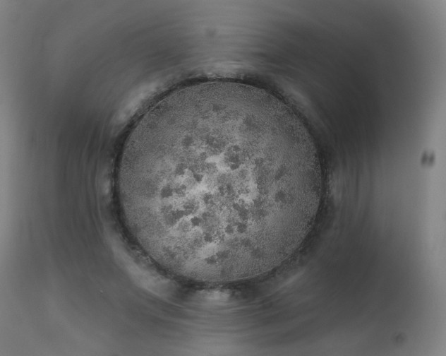 X0000110980687200906191404