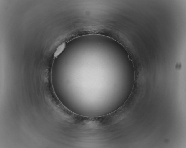 X0000110980689200906191404