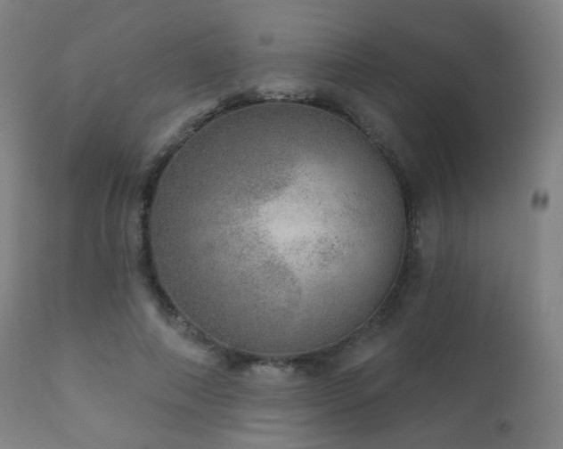 X0000110980690200906191404