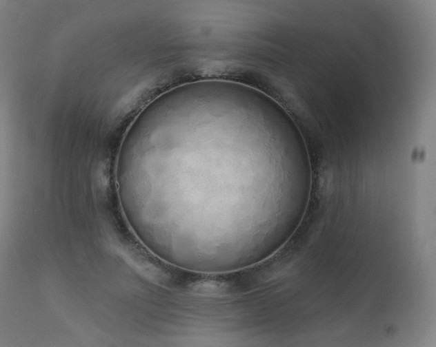 X0000110980691200906191404