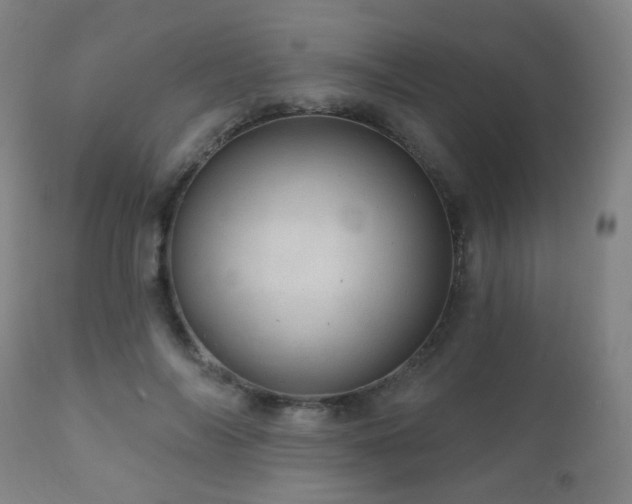 X0000110980694200906191404