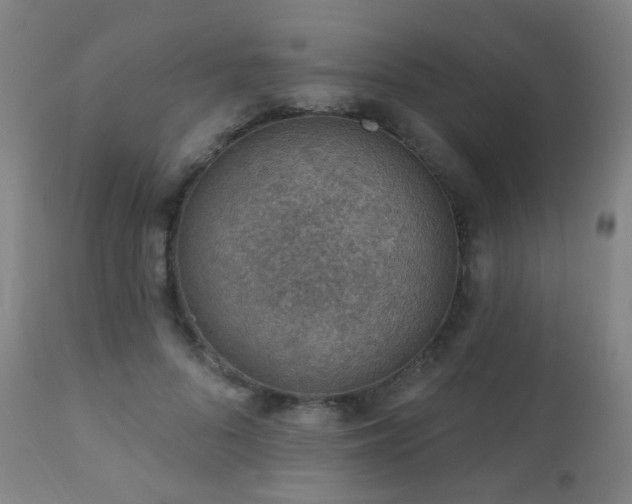 X0000110980696200906191404