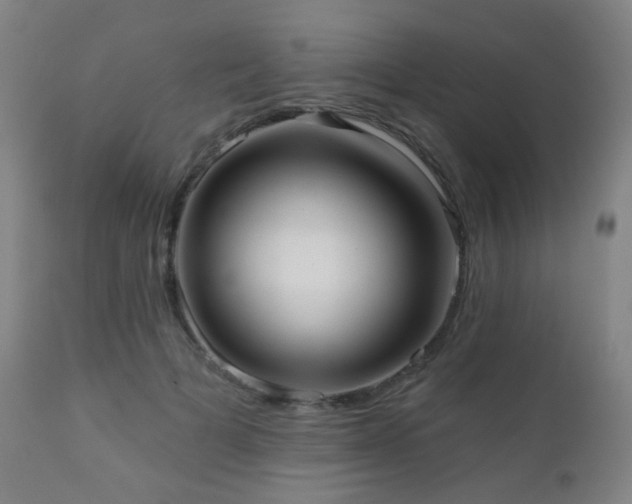 X0000110980697200906191404