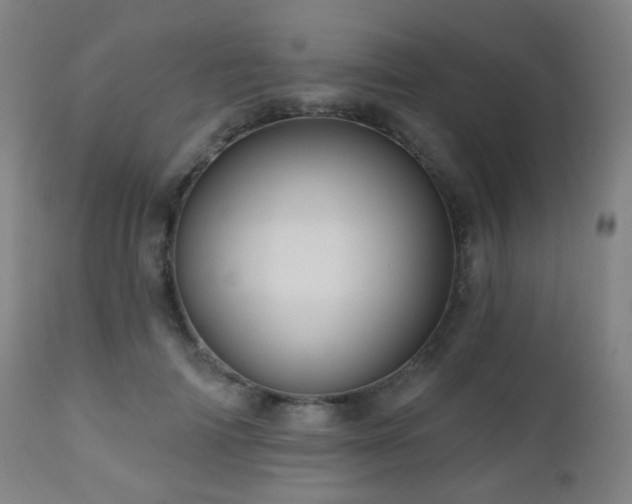 X0000110980698200906191404