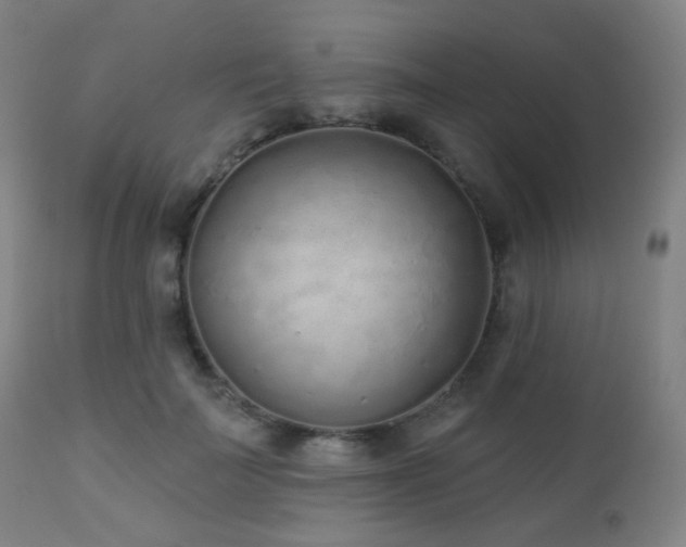 X0000110980699200906191404