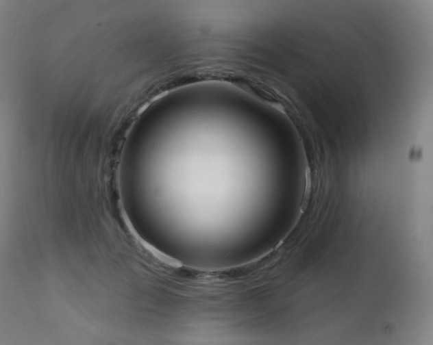 X0000110980701200906191404