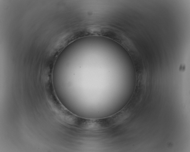 X0000110980702200906191404