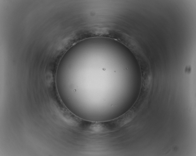 X0000110980704200906191404