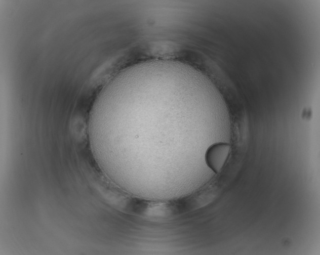 X0000110980705200906191404