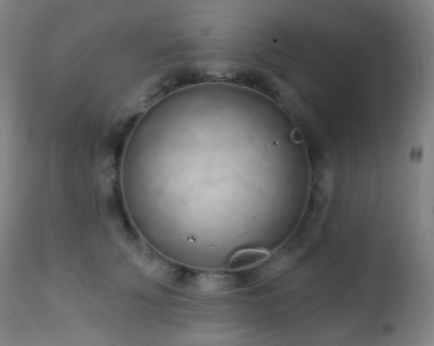 X0000110980707200906191404