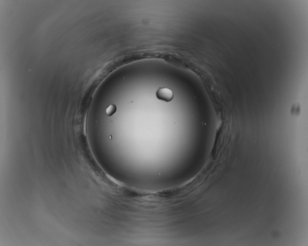 X0000110980708200906191404