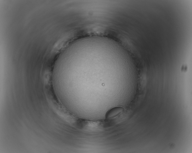 X0000110980709200906191404