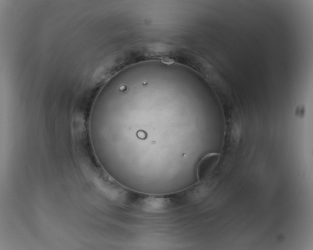 X0000110980711200906191404