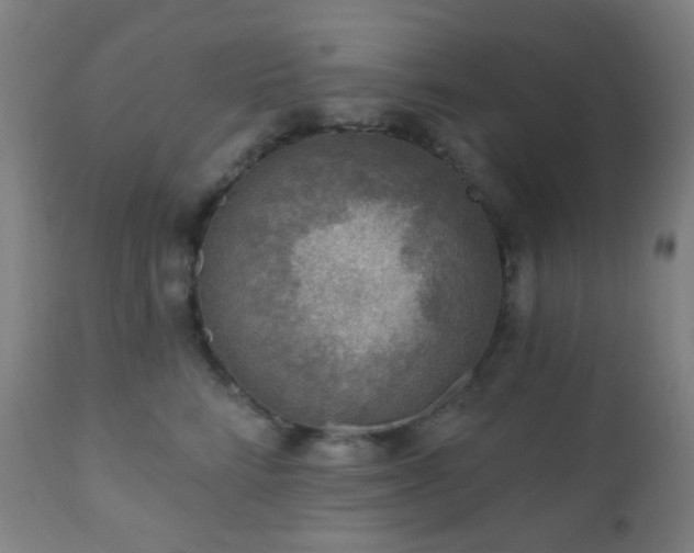 X0000110980712200906191404