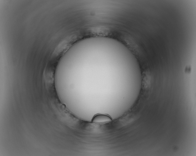 X0000110980713200906191404