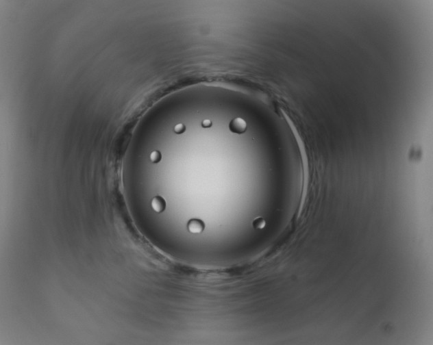 X0000110980716200906191404