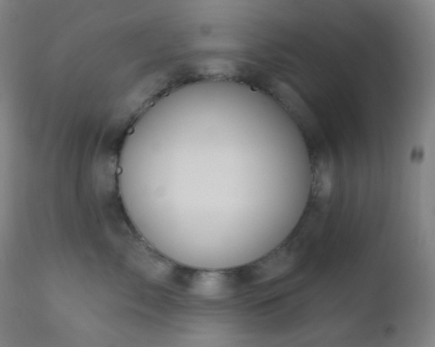 X0000110980717200906191404