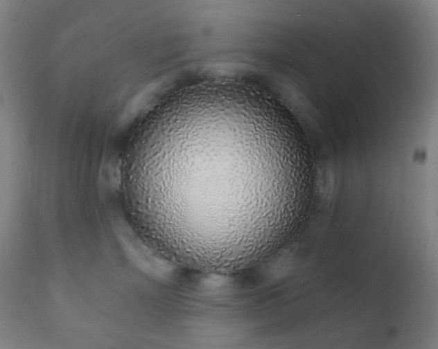 X0000110980718200906191404