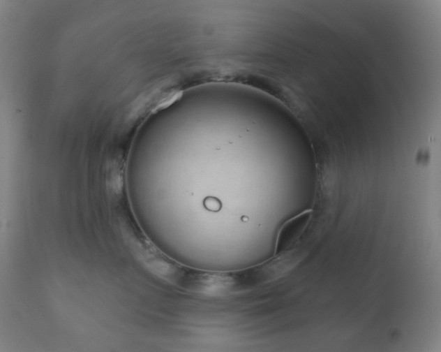 X0000110980719200906191404