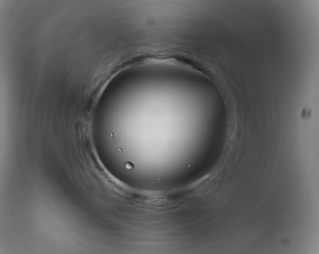 X0000110980720200906191404