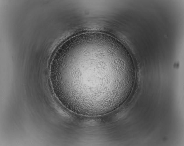 X0000110980721200906191403