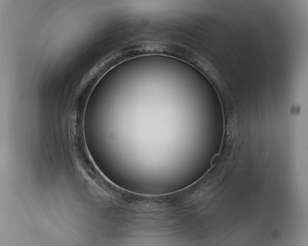 X0000110980722200906191403