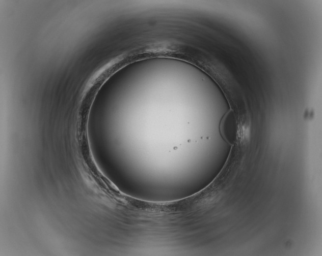 X0000110980724200906191403