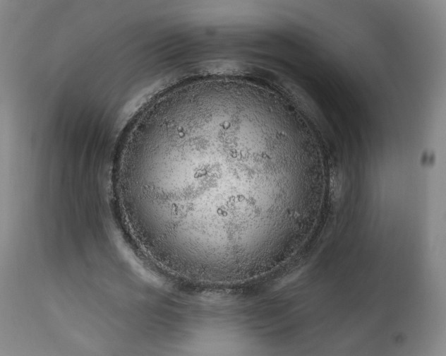 X0000110980725200906191403