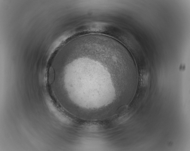 X0000110980726200906191403