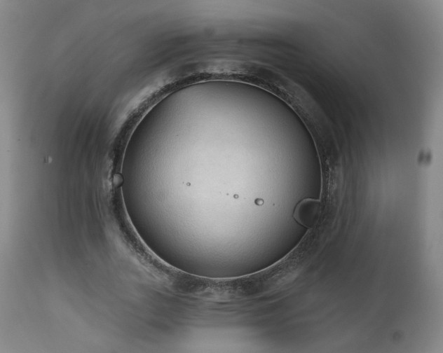 X0000110980727200906191403