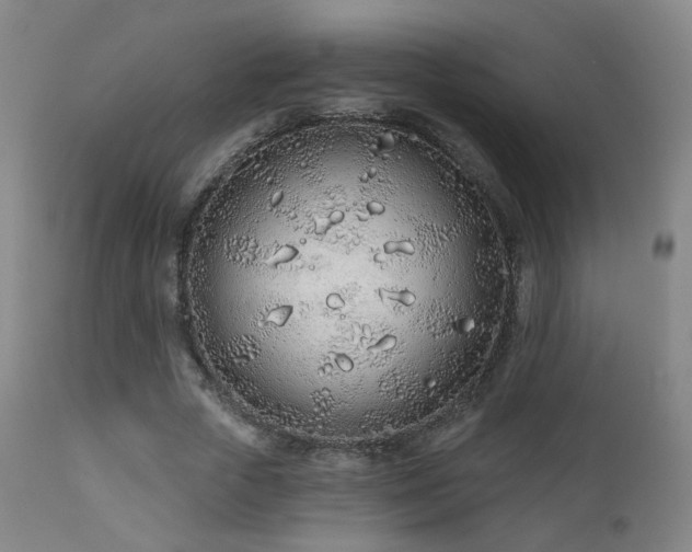 X0000110980729200906191403