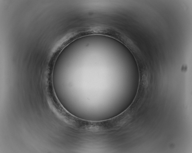 X0000110980730200906191403