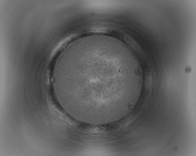 X0000110980731200906191403