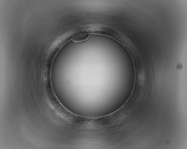 X0000110980732200906191403